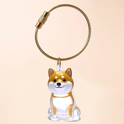 Transparent Cat Hair Storage Box Charm Commemorative Keychain