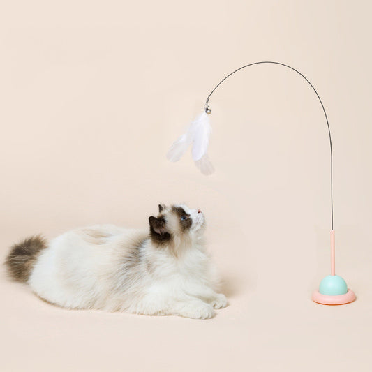 Cat Interactive Toys
