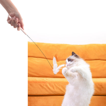 Cat Interactive Toys