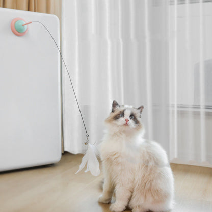 Cat Interactive Toys
