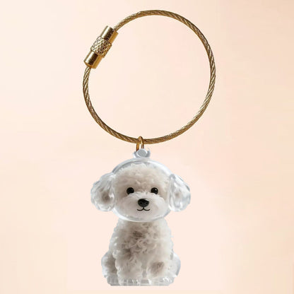 Transparent Cat Hair Storage Box Charm Commemorative Keychain
